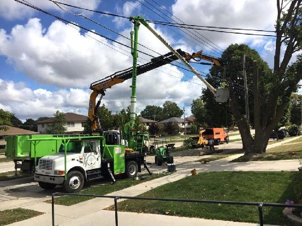 Tree removal around power lines.