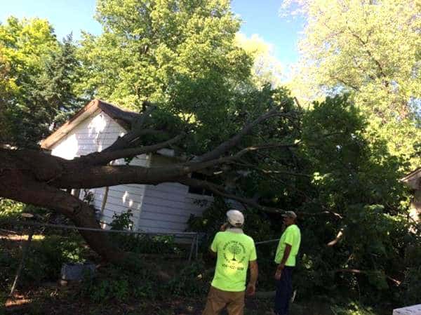 Storm damage clean-up after a tree falls onto a home.