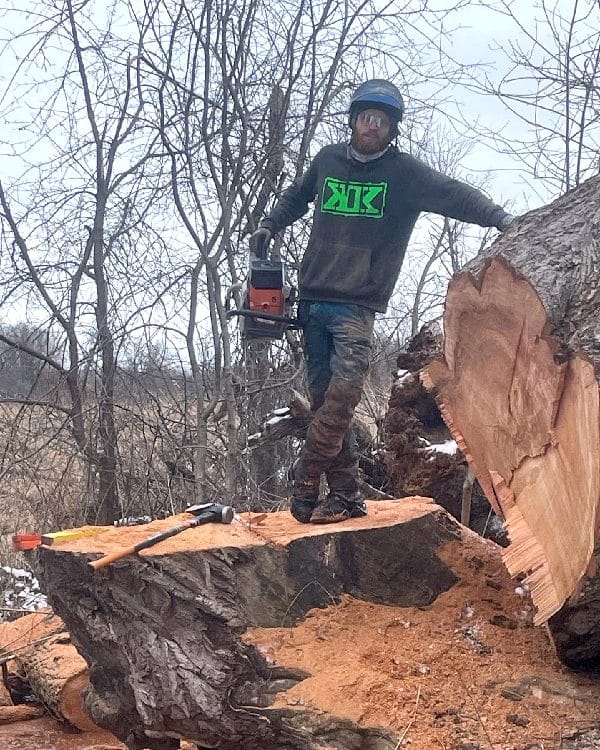 Tree removal worker posing on a large stump.