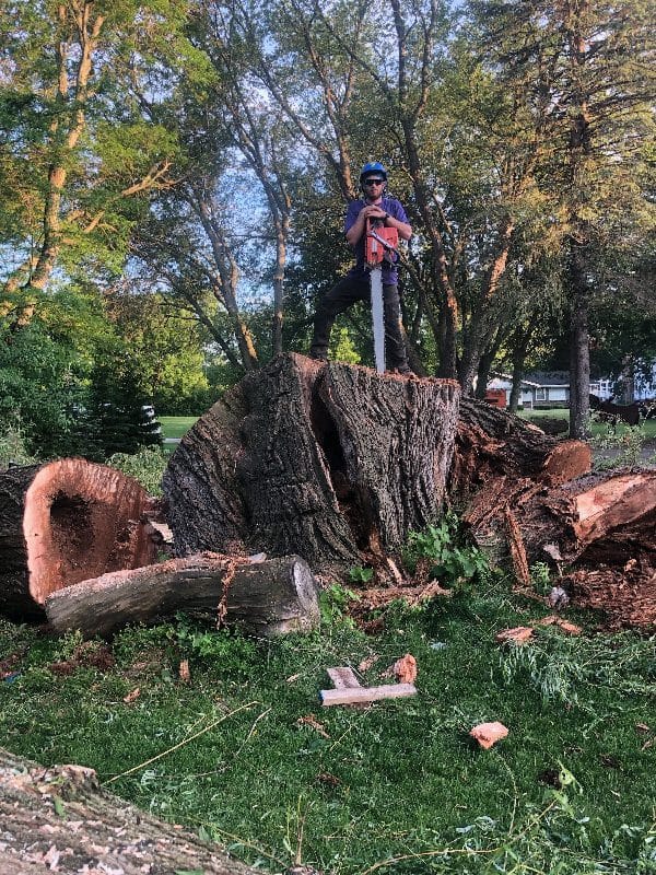 Tree removal worker posing on a large stump.