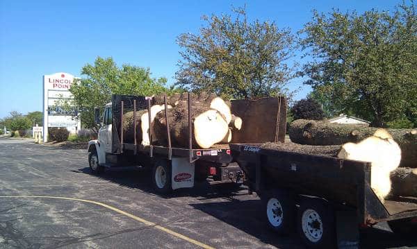 Hauling away large stumps from commercial property.