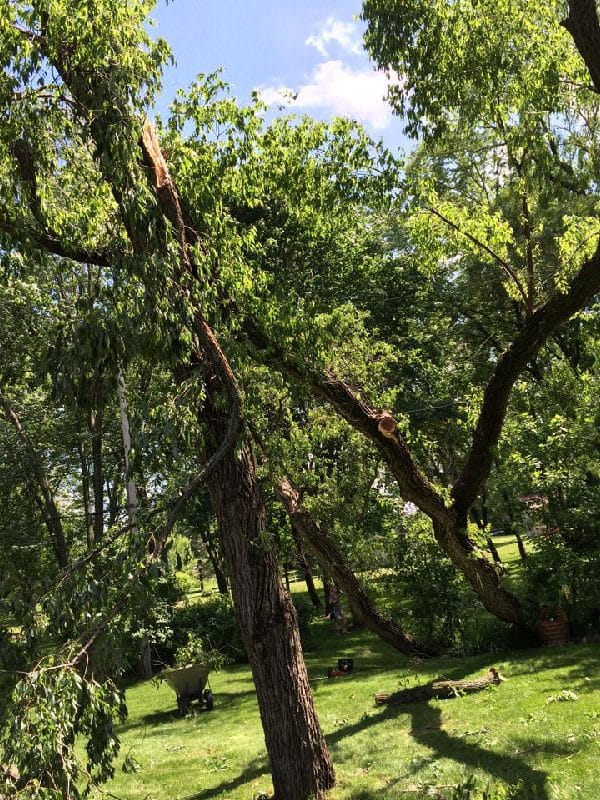 Storm damage in a residential neighborhood.