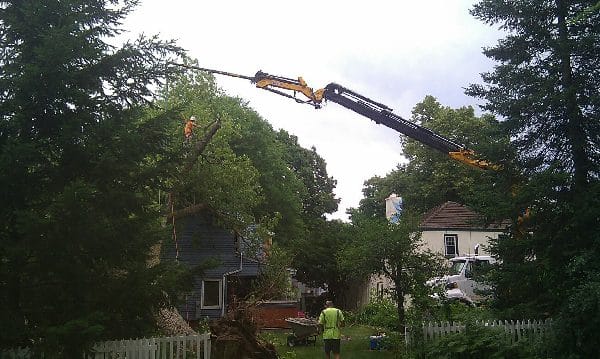 Storm damage clean-up after a tree falls onto a home.