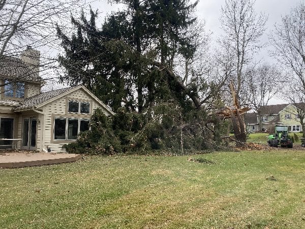 Storm damage clean-up after a tree falls onto a home.