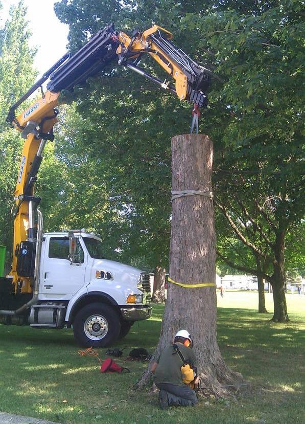 Boom lift vehicle preparing to remove a tree trunk.