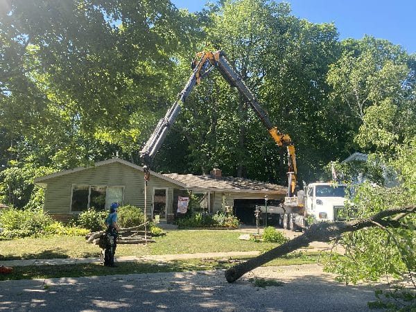 Knuckle boom vehicle in action at a cut-and-go operation at a home.