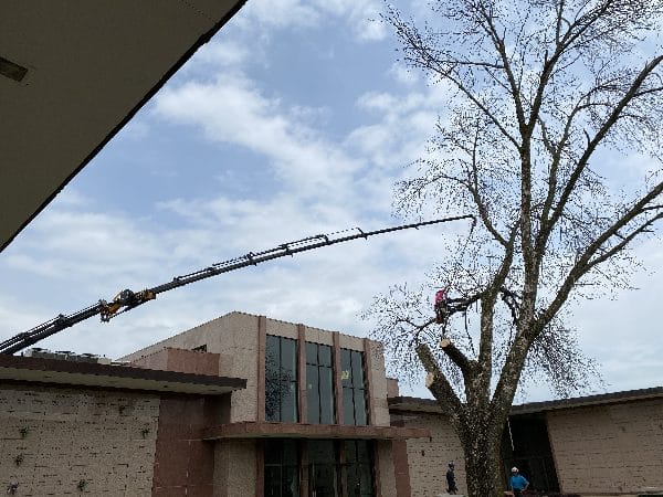 Knuckle boom vehicle showing a difficult tree removal over a roof.