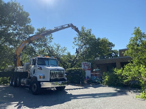 Knuckle boom vehicle showing a difficult tree removal over a roof.