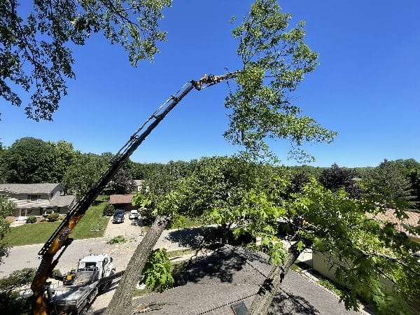 Knuckle boom vehicle showing a difficult tree removal over a roof.