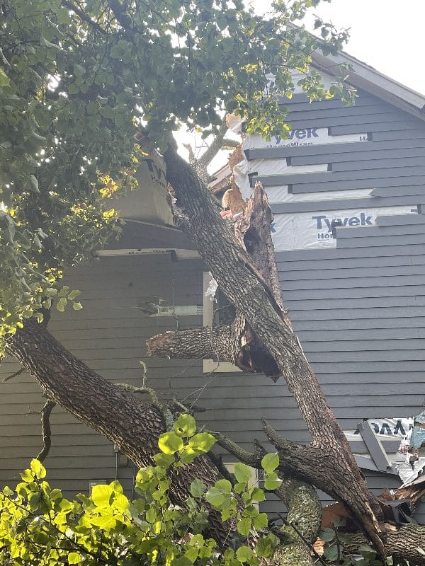 Storm damage clean-up after a tree falls onto a home.