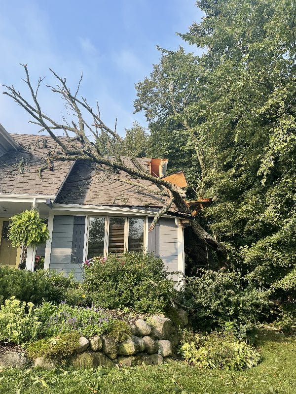 Storm damage clean-up after a tree falls onto a home.