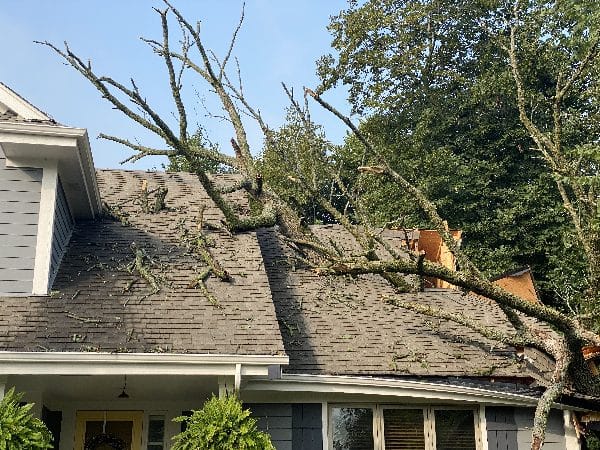 Storm damage clean-up after a tree falls onto a home.