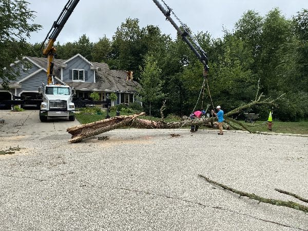 Storm damage clean-up after a tree falls onto a home.