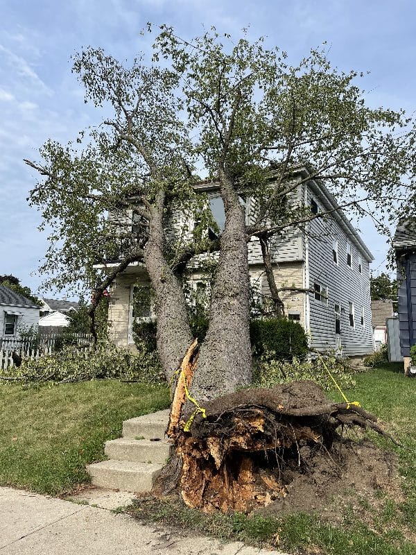 Storm damage clean-up after a tree falls onto a home.