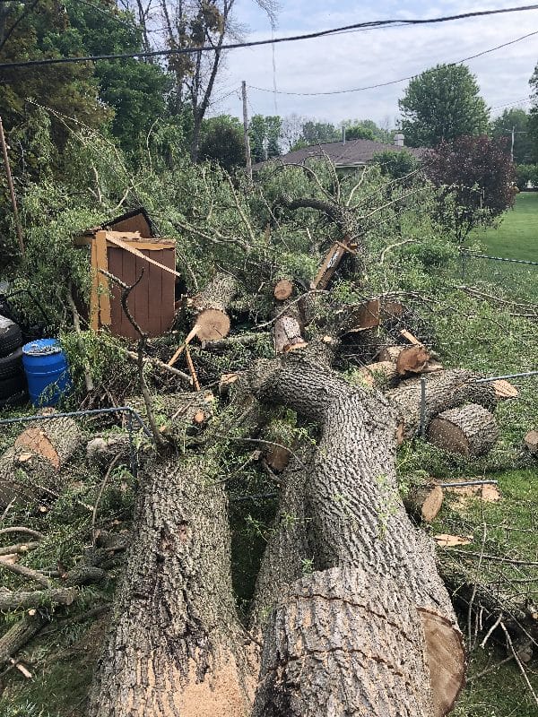 Storm damage in a residential neighborhood.