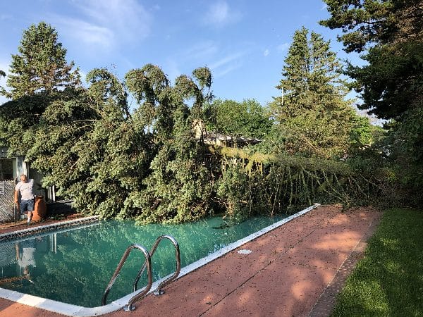 Tree falls into pool from storm damage.