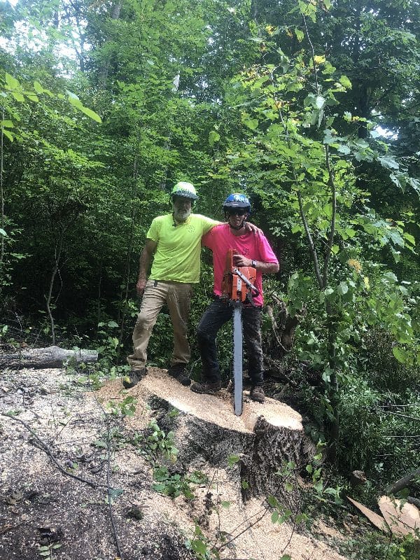 Tree removal workers posing on a large stump.