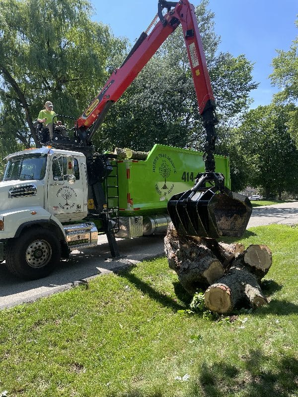 Loader vehicle loading a stump