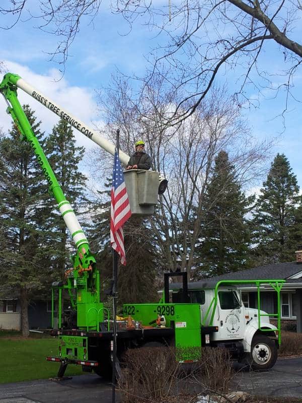 Tree trimming high branches