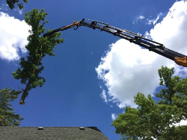 Knuckle boom vehicle showing a difficult tree removal over a roof.