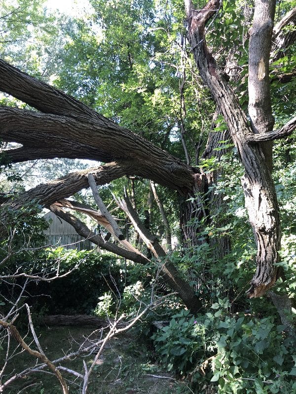 Storm damage in a residential neighborhood.