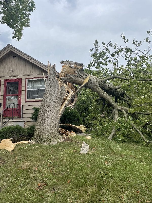 Storm damage clean-up after a tree falls onto a home.