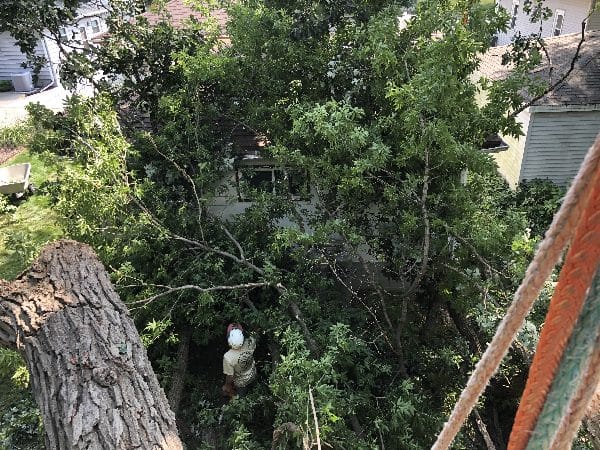 Storm damage clean-up after a tree falls onto a home.