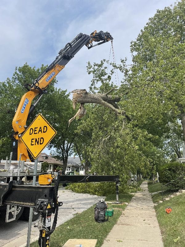 Storm damage in a residential neighborhood.