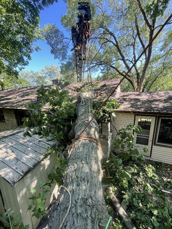 Storm damage clean-up after a tree falls onto a home.