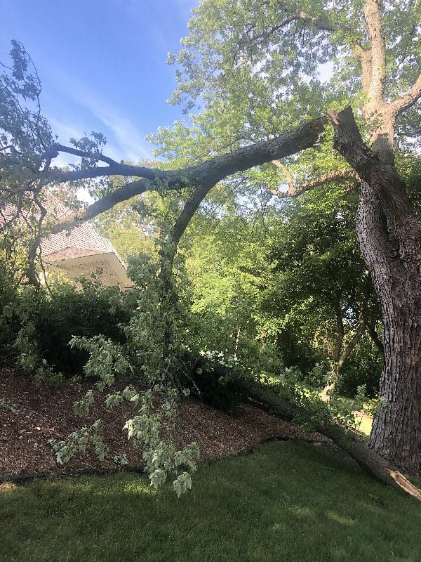 Storm damage in a residential neighborhood.