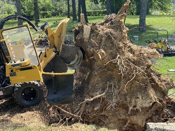 Stump grinder vehicle removing a stump