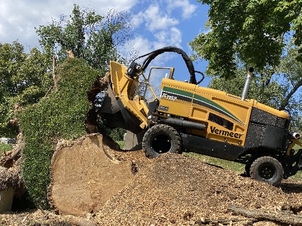 Stump grinder vehicle removing a stump