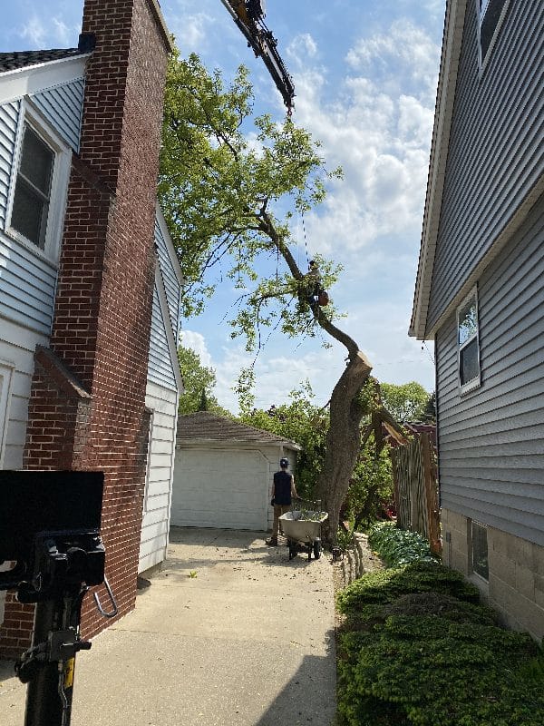 Knuckle boom vehicle showing a difficult tree removal over a roof.