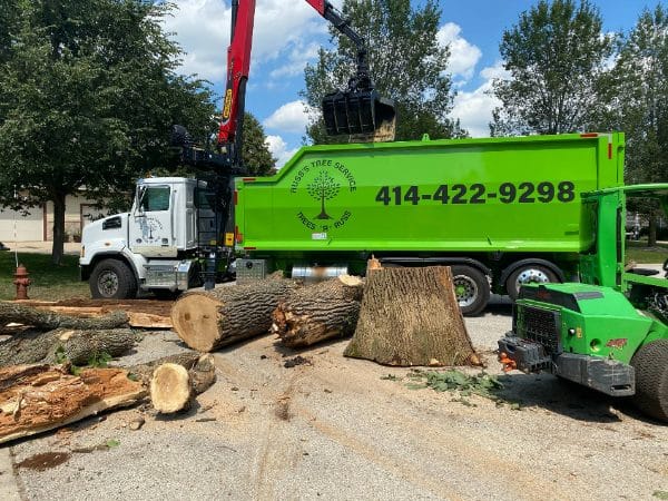 Loader truck loading tree parts into the back bed.