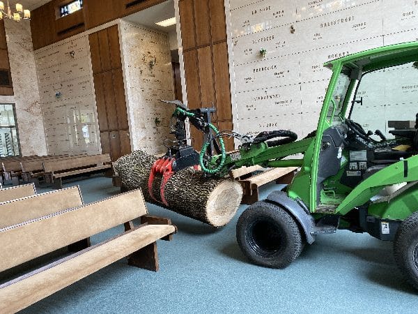 Difficult tree removal from a church in a commercial setting.