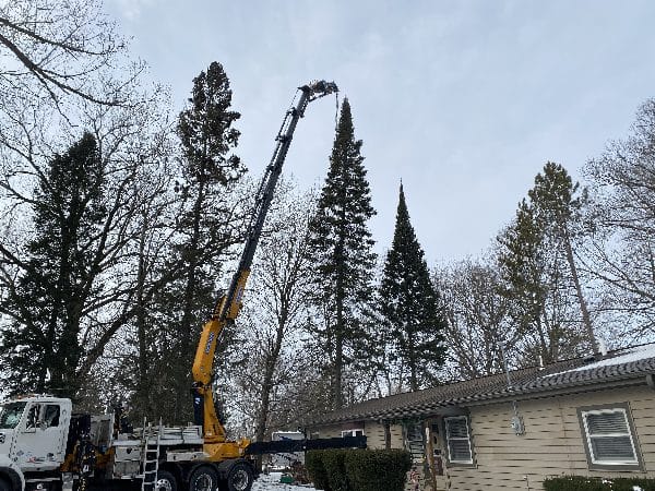 Winter tree removal with knuckle-boom truck.