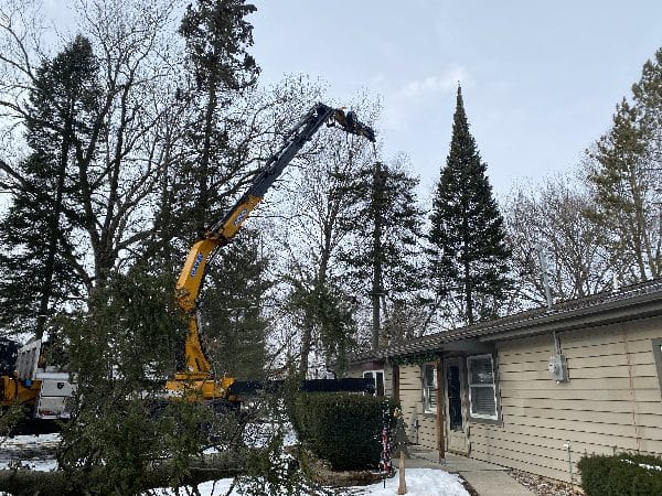 Winter tree removal with knuckle-boom truck.