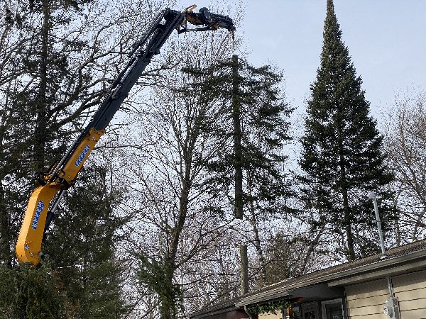 Winter tree removal with knuckle-boom truck.