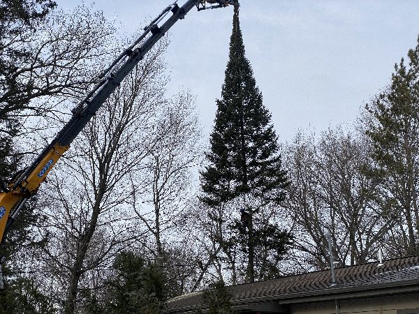 Winter tree removal with knuckle-boom truck